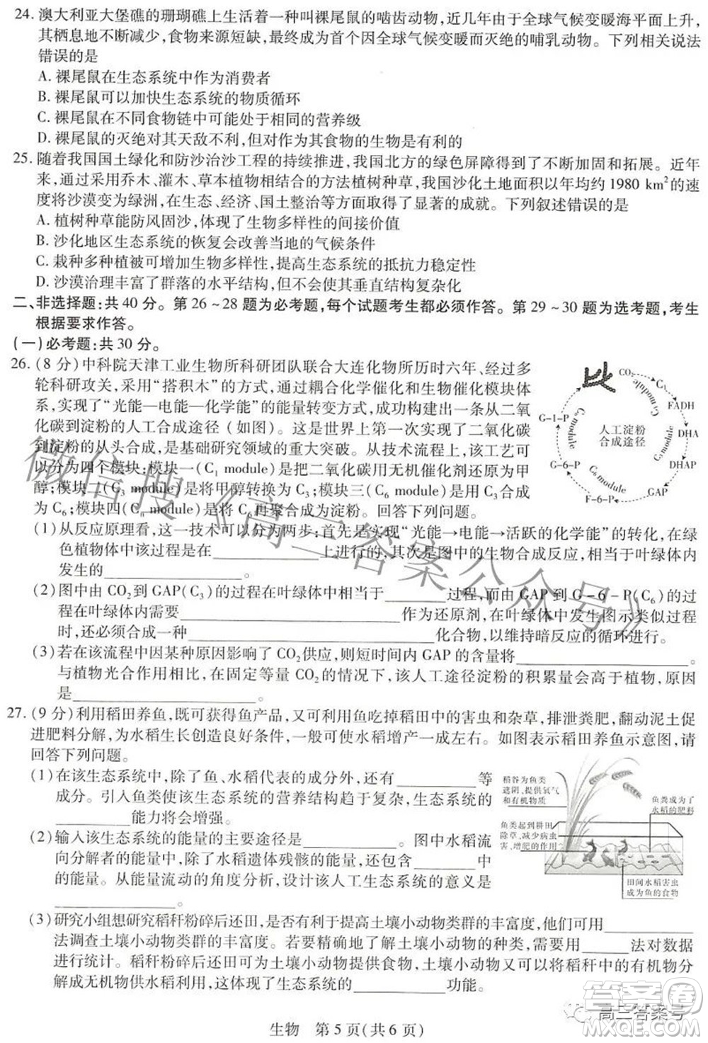 江西紅色十校2023屆高三第一次聯(lián)考生物試題及答案