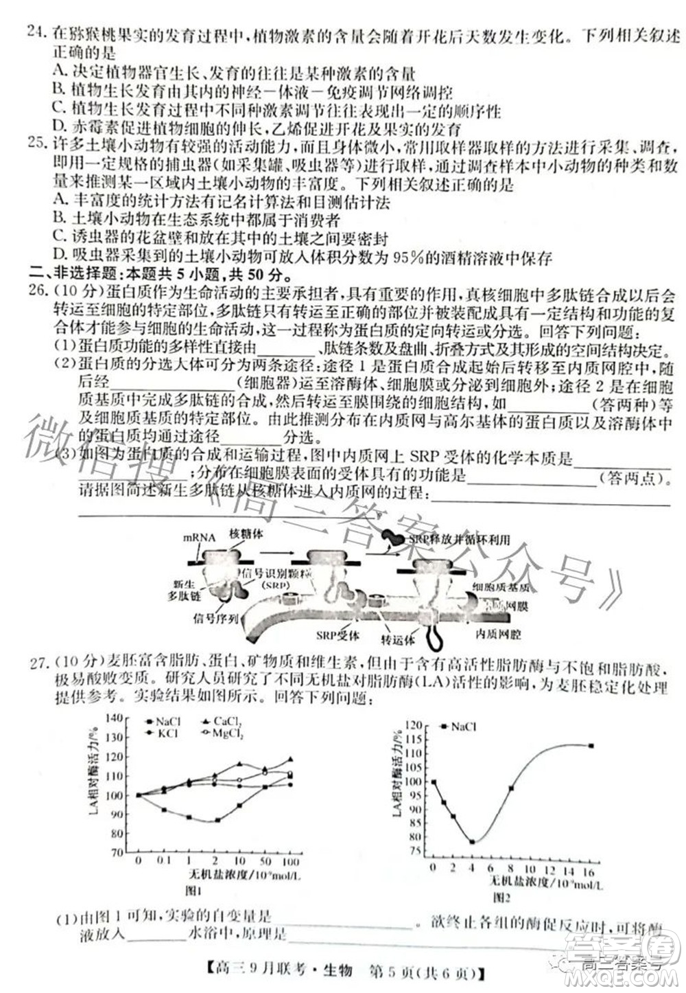 2023屆陜西省九師聯(lián)盟高三9月聯(lián)考生物試題及答案