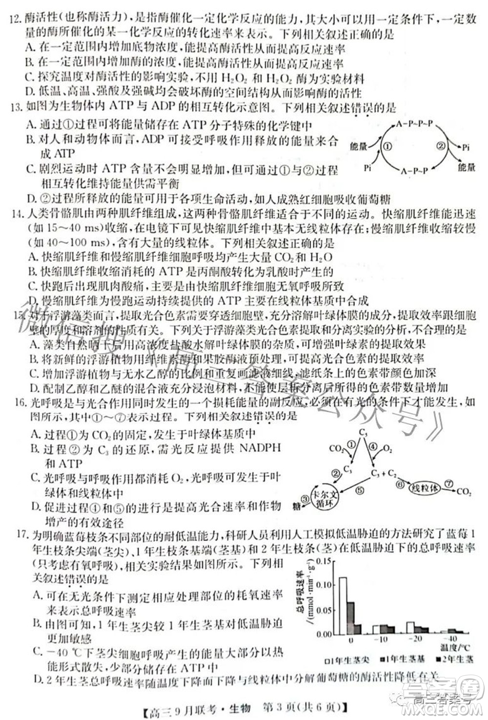 2023屆陜西省九師聯(lián)盟高三9月聯(lián)考生物試題及答案