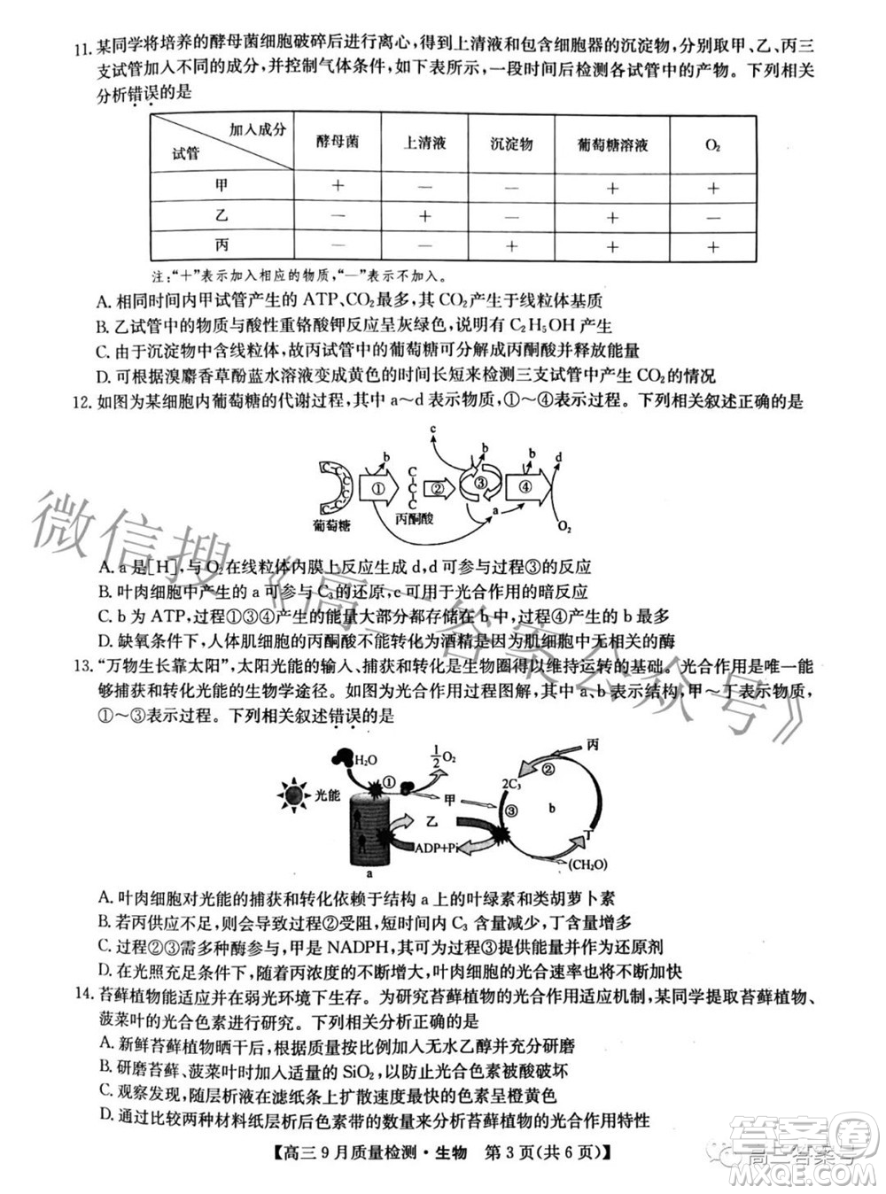 2023屆九師聯(lián)盟新高考高三9月質(zhì)量檢測生物試題及答案