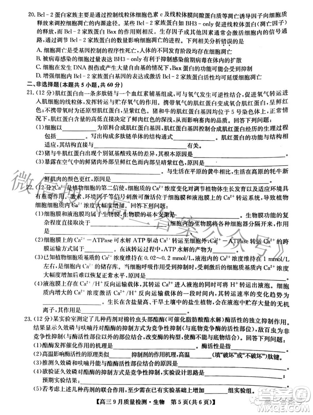 2023屆九師聯(lián)盟新高考高三9月質(zhì)量檢測生物試題及答案