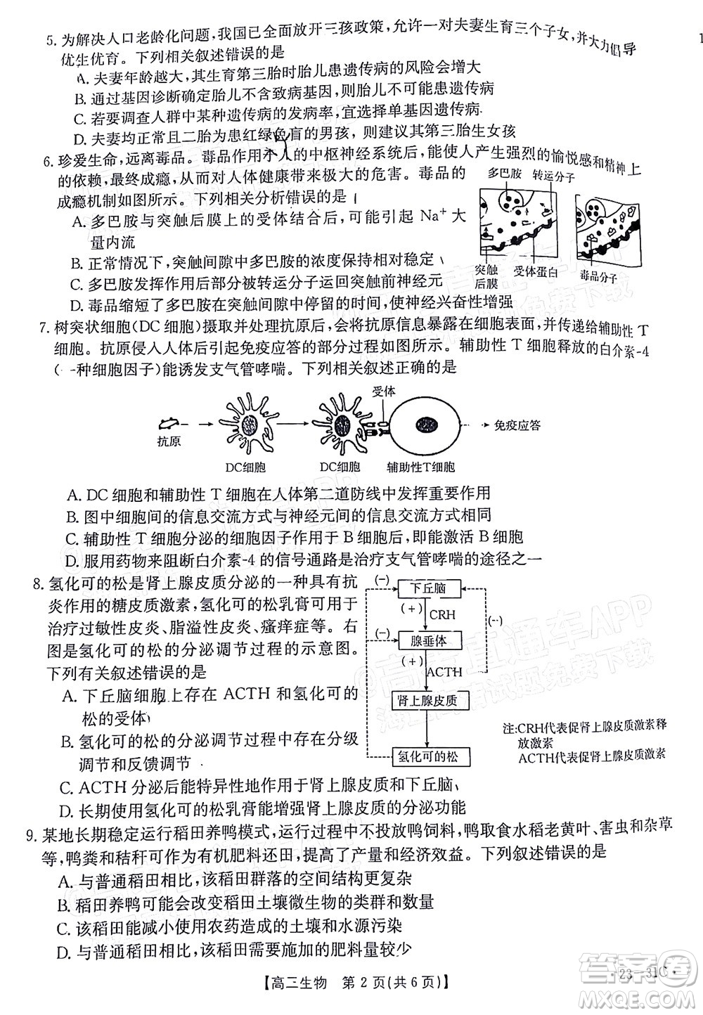 2023屆廣東金太陽(yáng)高三9月聯(lián)考生物試題及答案