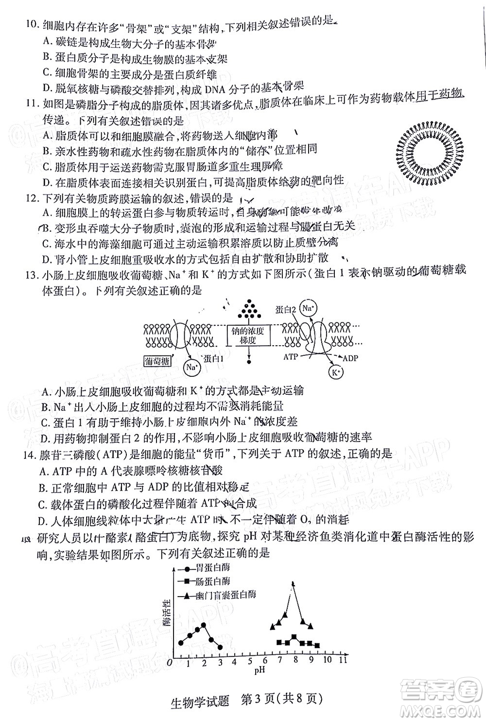 皖豫名校聯(lián)盟2023屆高中畢業(yè)班第一次考試生物學(xué)試題及答案