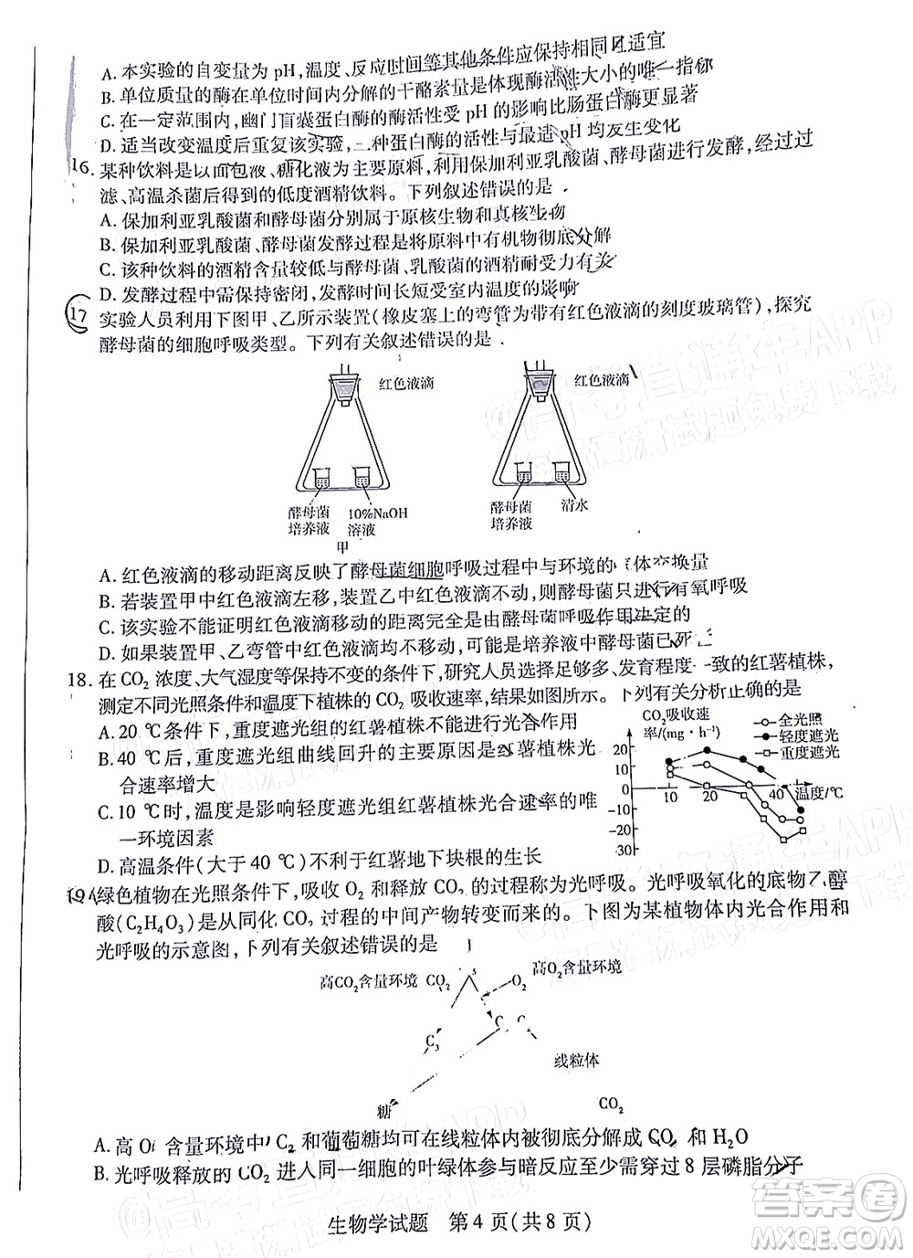 皖豫名校聯(lián)盟2023屆高中畢業(yè)班第一次考試生物學(xué)試題及答案