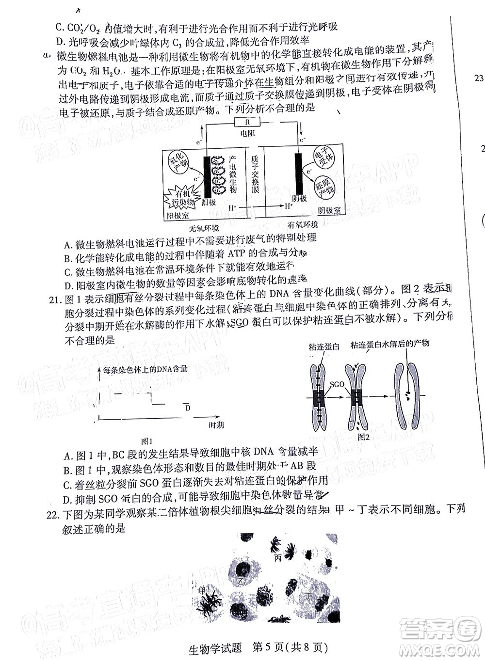 皖豫名校聯(lián)盟2023屆高中畢業(yè)班第一次考試生物學(xué)試題及答案