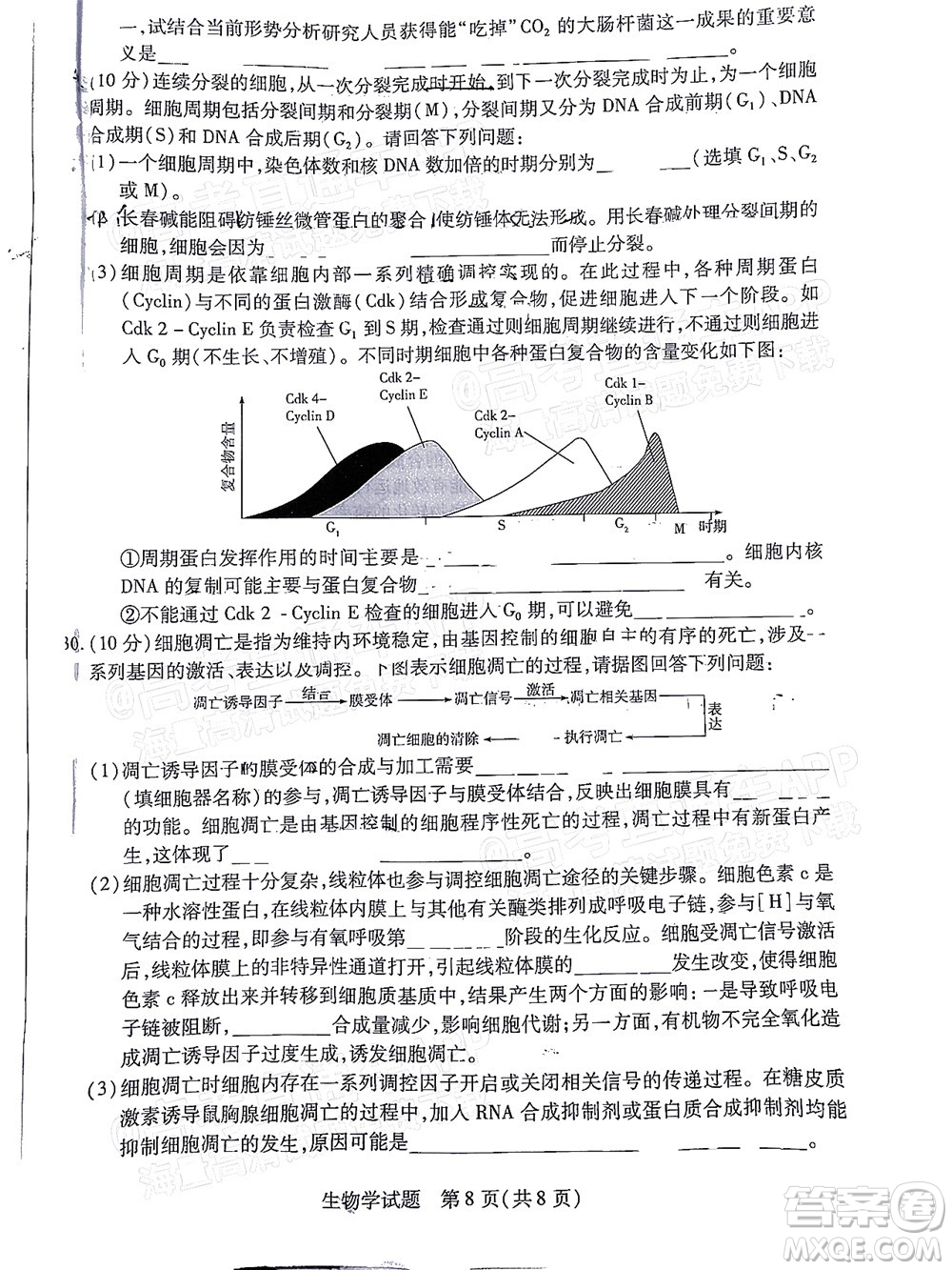 皖豫名校聯(lián)盟2023屆高中畢業(yè)班第一次考試生物學(xué)試題及答案