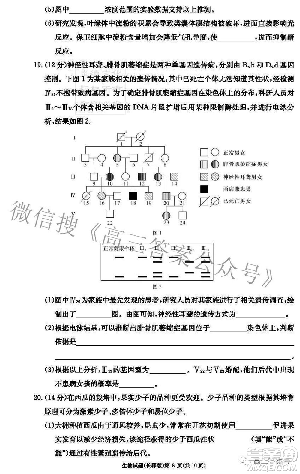 長郡中學(xué)2023屆高三月考試卷二生物試題及答案