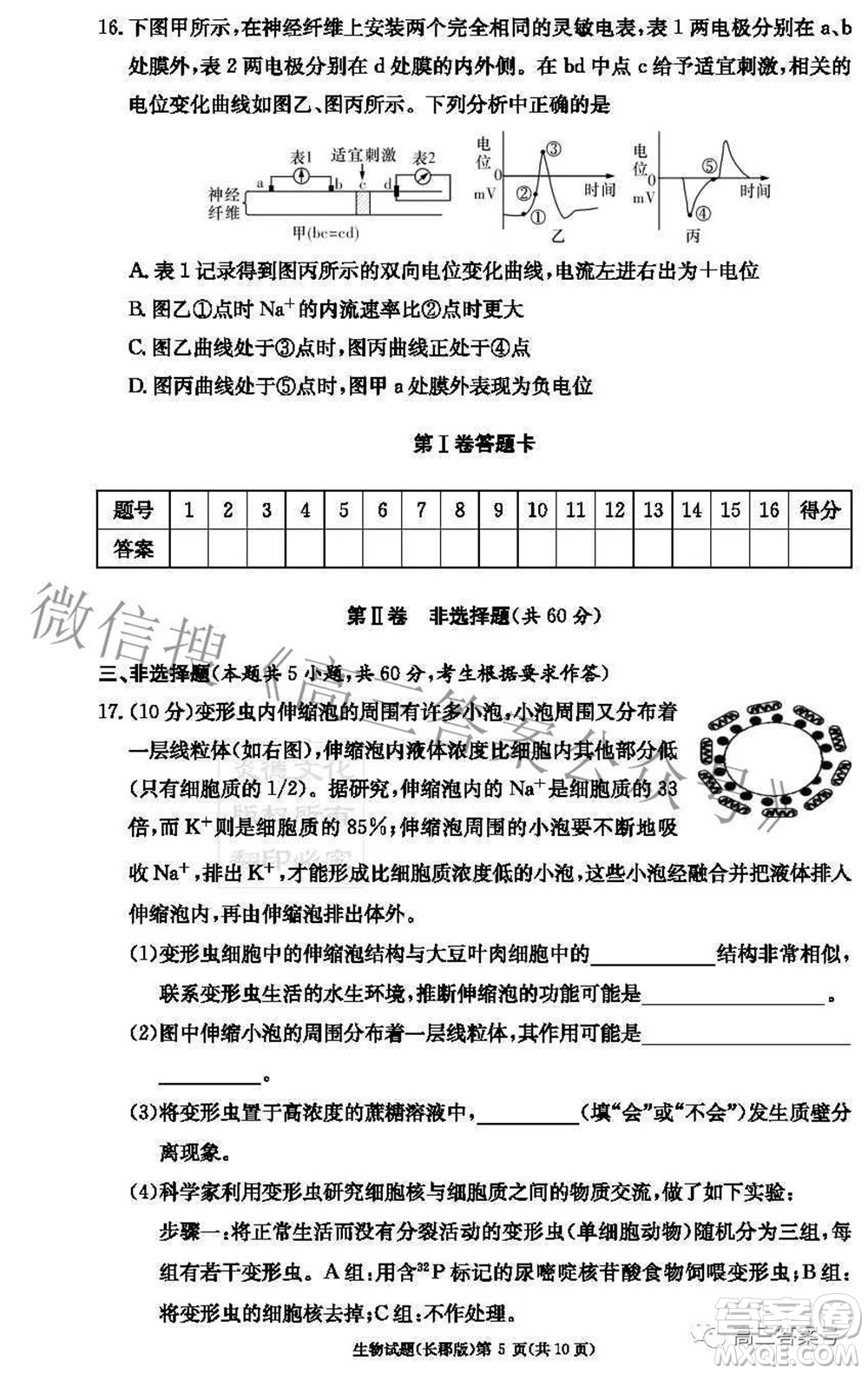 長郡中學(xué)2023屆高三月考試卷二生物試題及答案