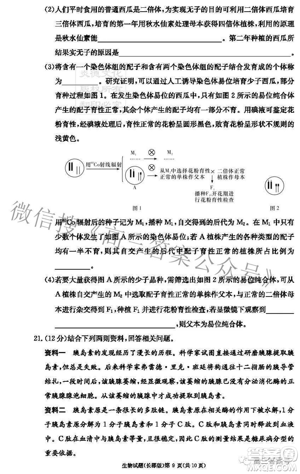 長郡中學(xué)2023屆高三月考試卷二生物試題及答案