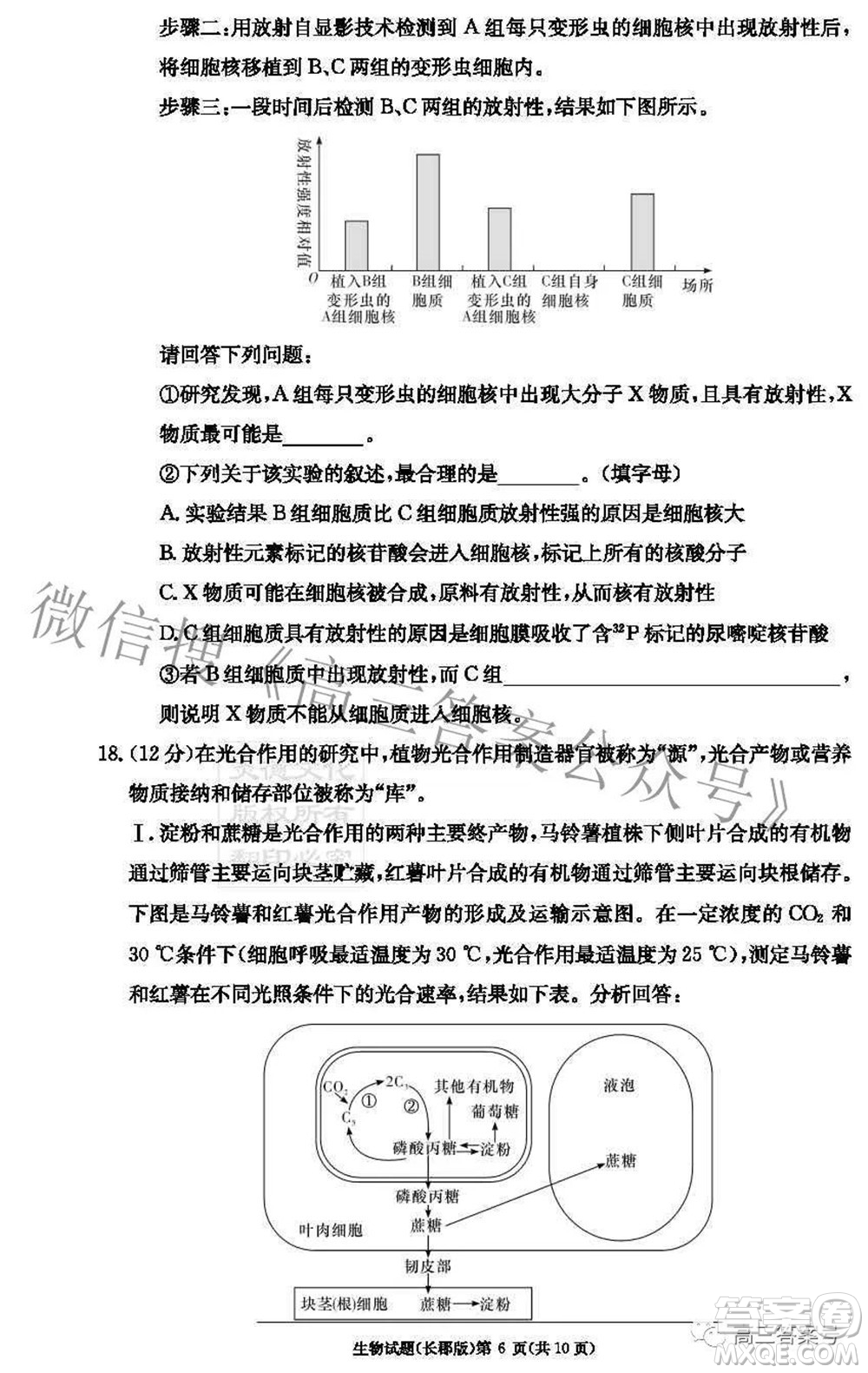 長郡中學(xué)2023屆高三月考試卷二生物試題及答案