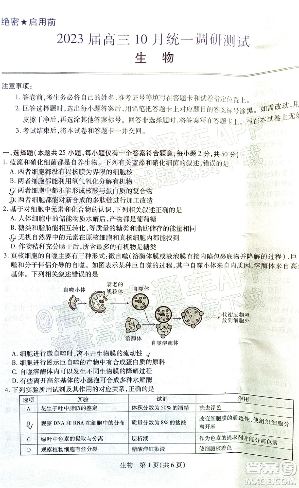 江西穩(wěn)派智慧上進(jìn)2023屆高三10月統(tǒng)一調(diào)研測(cè)試生物試題及答案