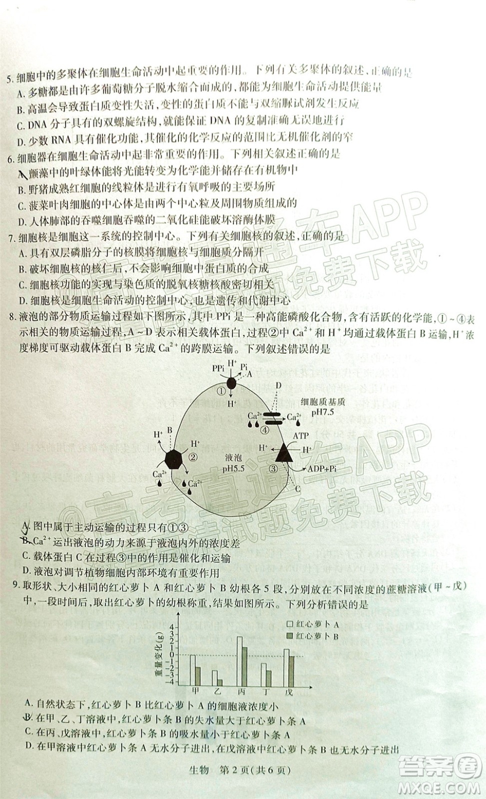 江西穩(wěn)派智慧上進(jìn)2023屆高三10月統(tǒng)一調(diào)研測(cè)試生物試題及答案