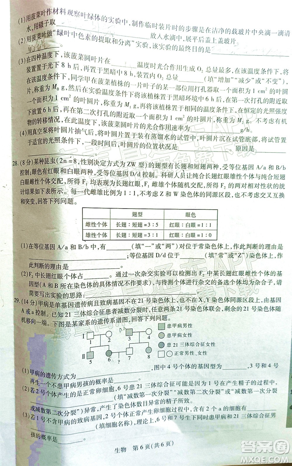 江西穩(wěn)派智慧上進(jìn)2023屆高三10月統(tǒng)一調(diào)研測(cè)試生物試題及答案