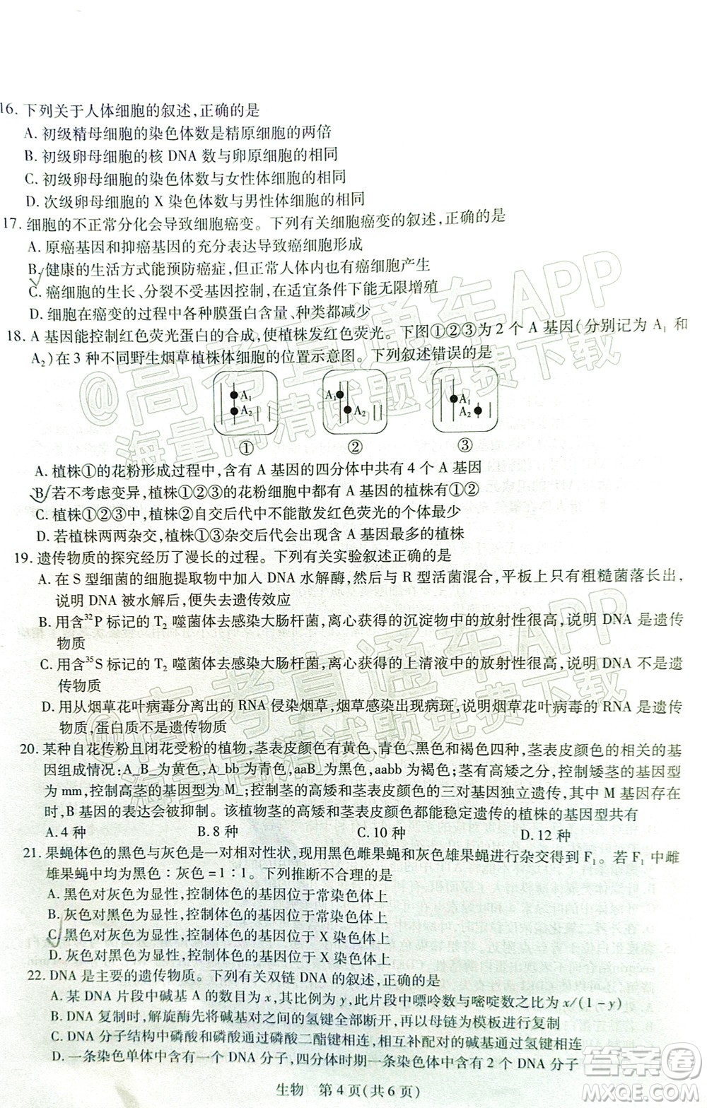 江西穩(wěn)派智慧上進(jìn)2023屆高三10月統(tǒng)一調(diào)研測(cè)試生物試題及答案