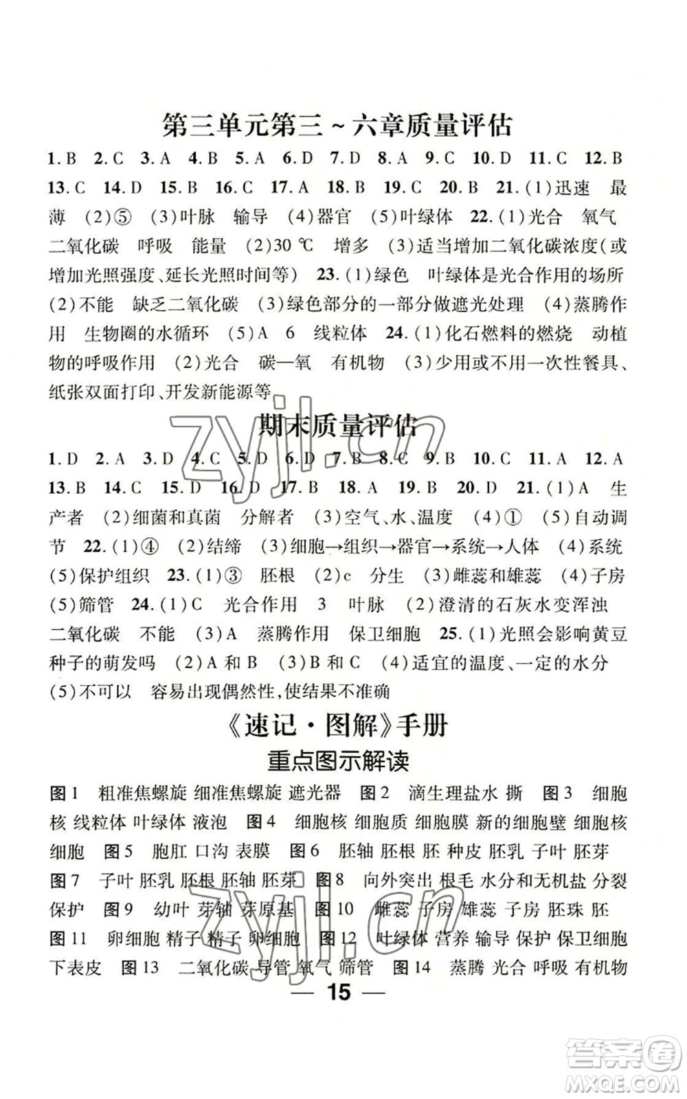 江西教育出版社2022精英新課堂三點(diǎn)分層作業(yè)七年級(jí)上冊(cè)生物人教版參考答案