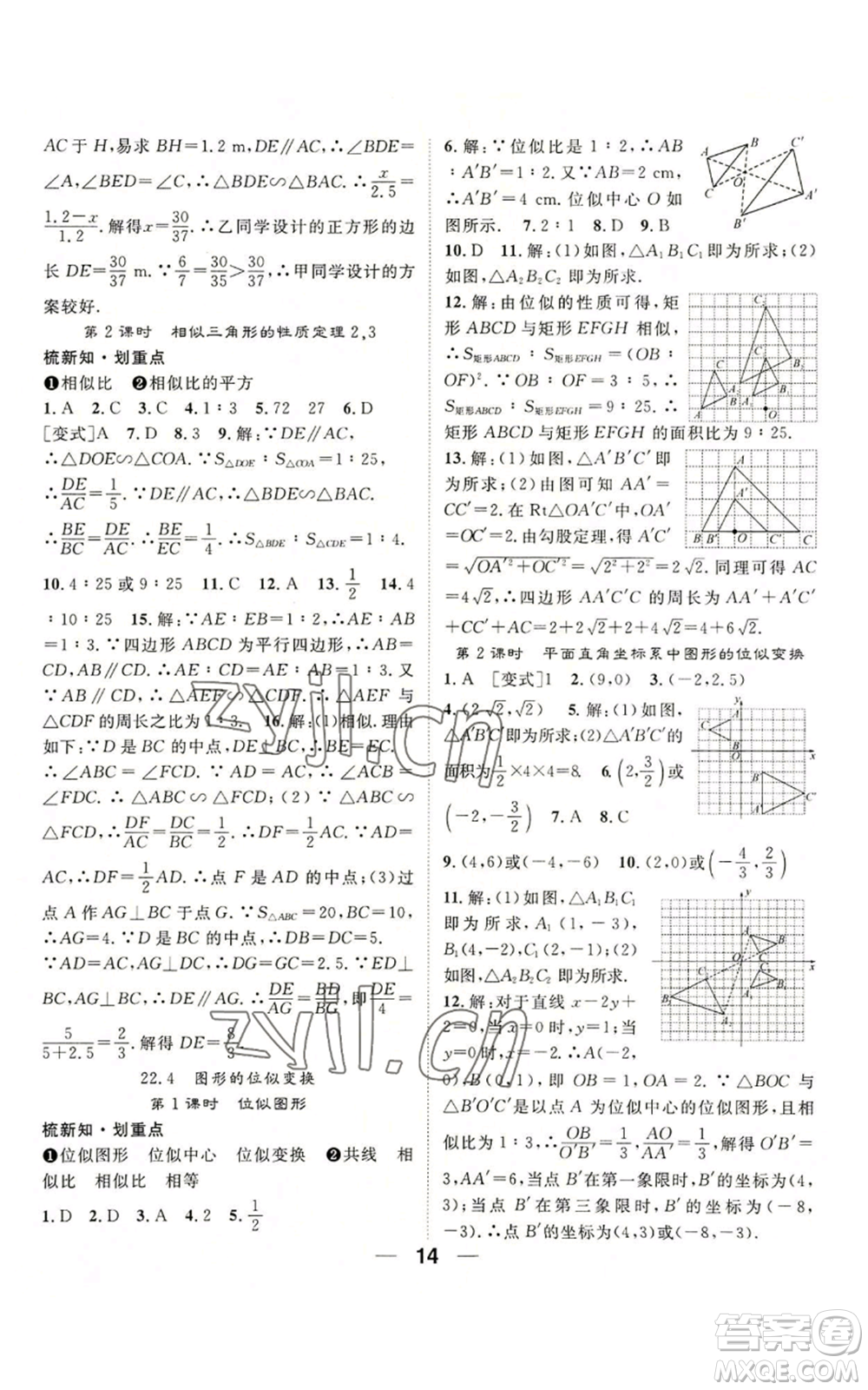 陽光出版社2022精英新課堂九年級上冊數(shù)學(xué)滬科版參考答案