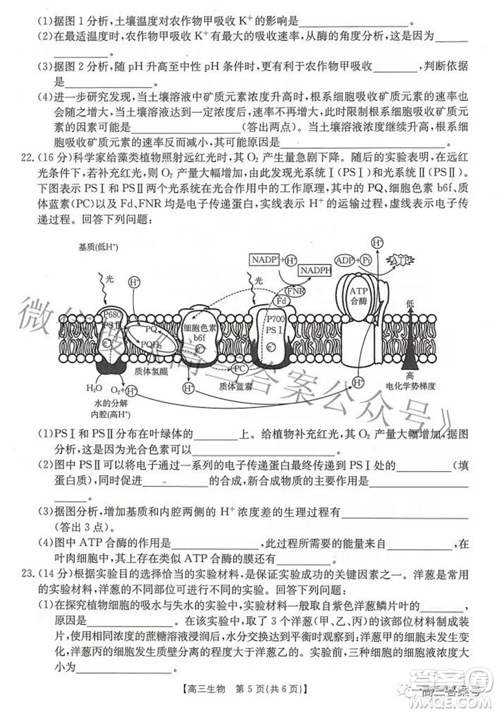 2023屆湖北高三百校聯(lián)考生物試題及答案