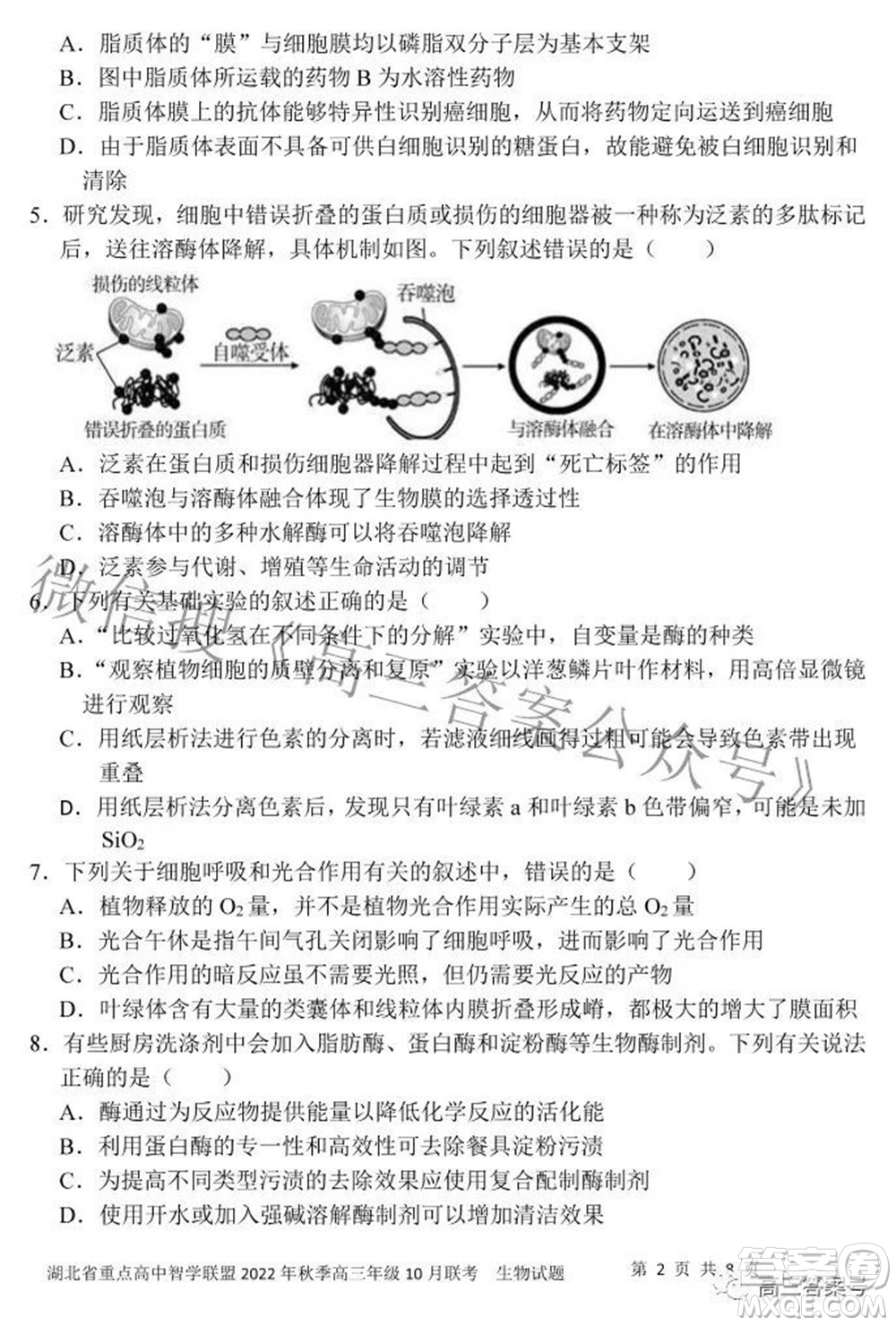 湖北省重點(diǎn)高中智學(xué)聯(lián)盟2022年秋季高三年級(jí)10月聯(lián)考生物試題及答案