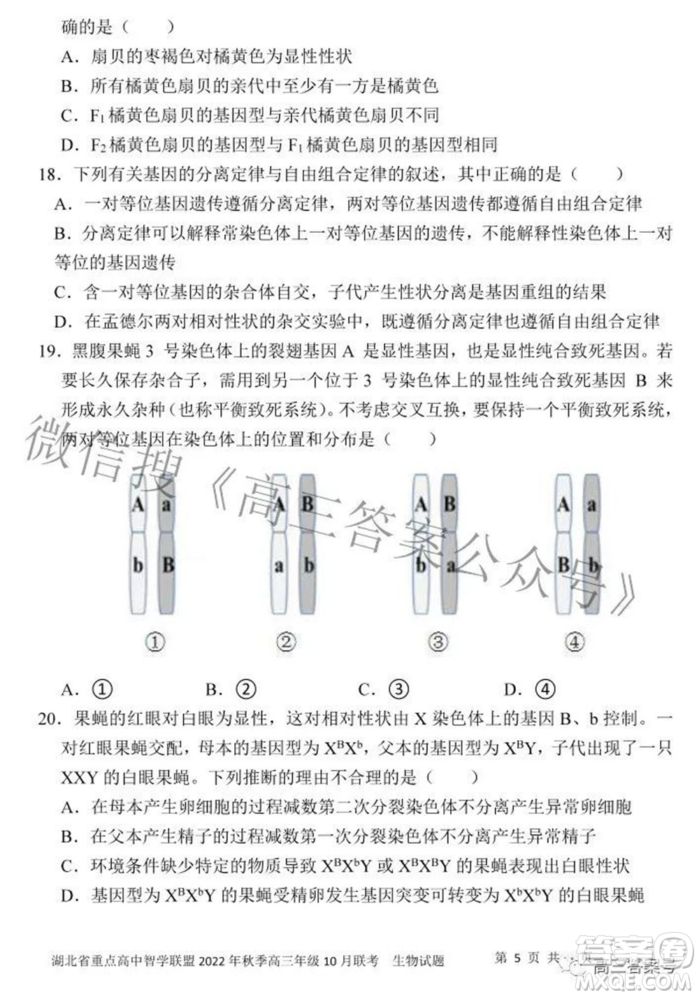 湖北省重點(diǎn)高中智學(xué)聯(lián)盟2022年秋季高三年級(jí)10月聯(lián)考生物試題及答案