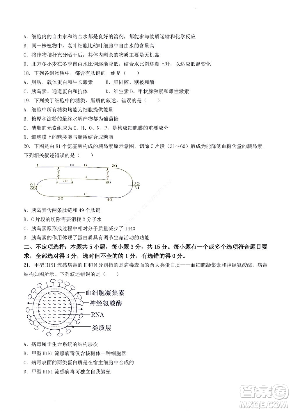 2022年山東省學(xué)情空間區(qū)域教研共同體高一10月份聯(lián)考生物試題及答案