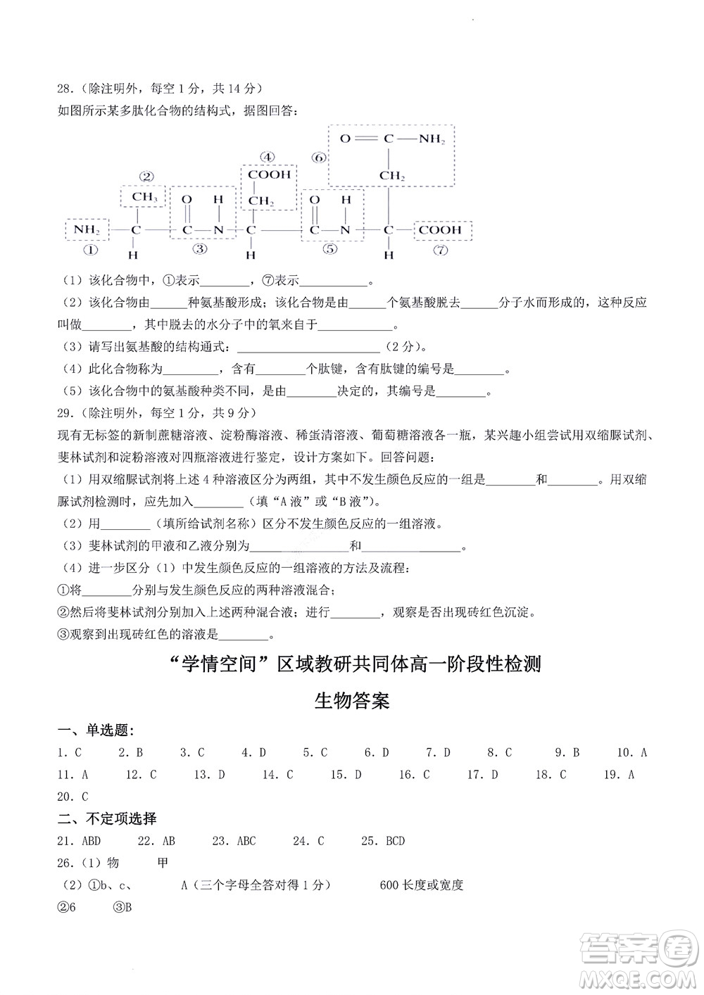 2022年山東省學(xué)情空間區(qū)域教研共同體高一10月份聯(lián)考生物試題及答案