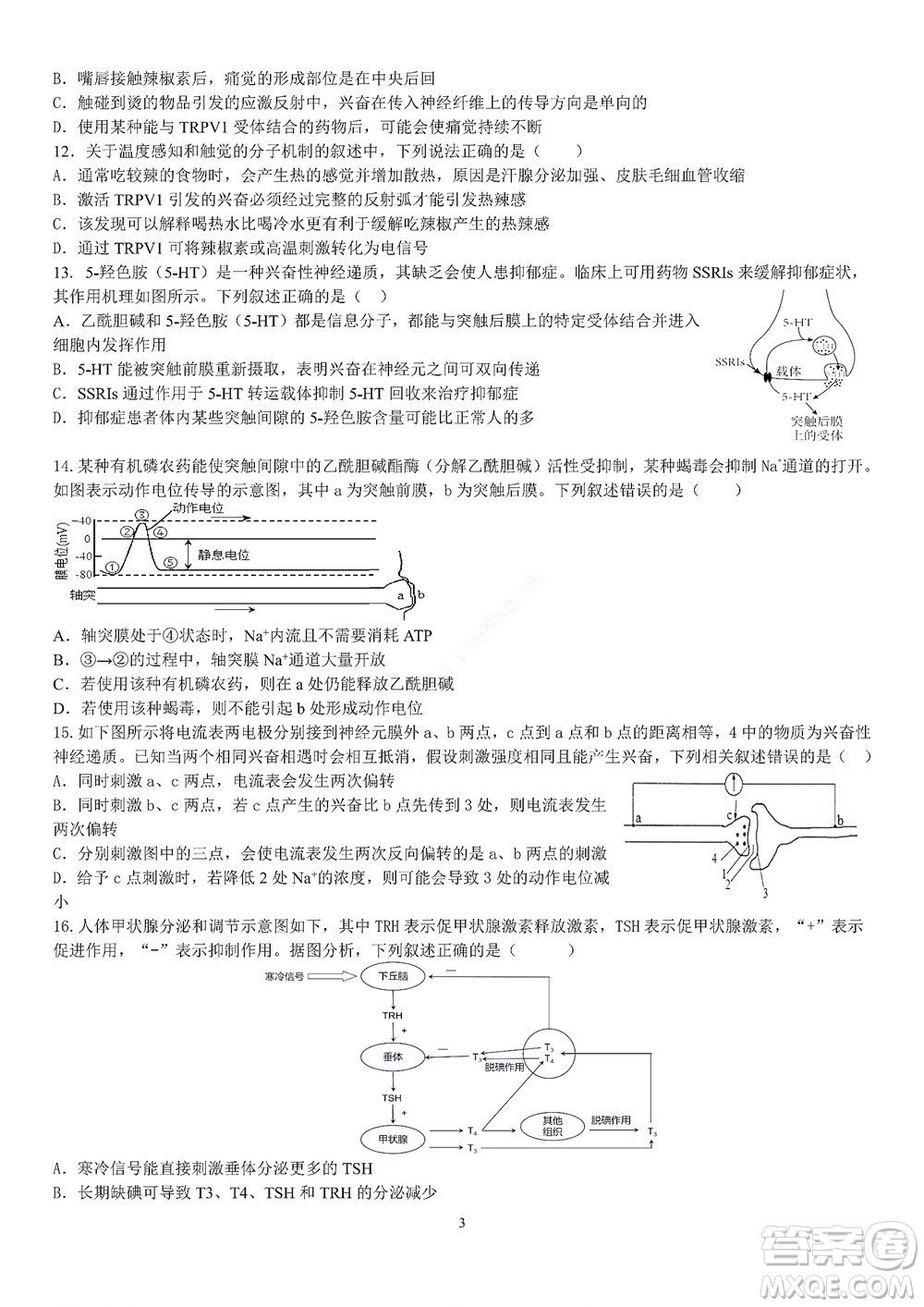 2022學年第一學期浙江省精誠聯(lián)盟10月聯(lián)考高二年級生物學科試題及答案