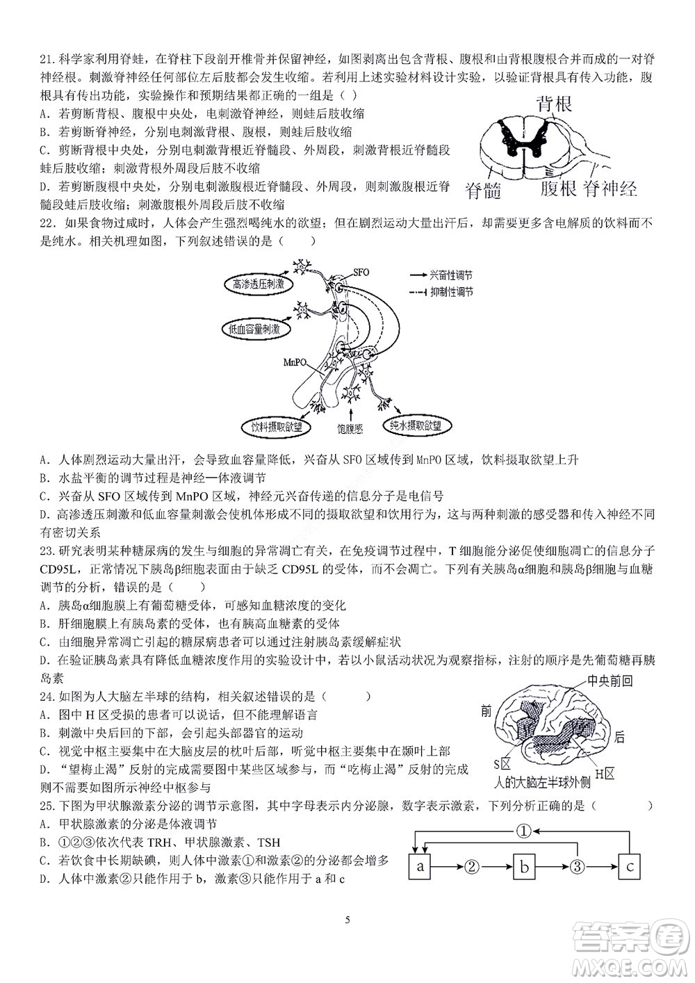 2022學年第一學期浙江省精誠聯(lián)盟10月聯(lián)考高二年級生物學科試題及答案