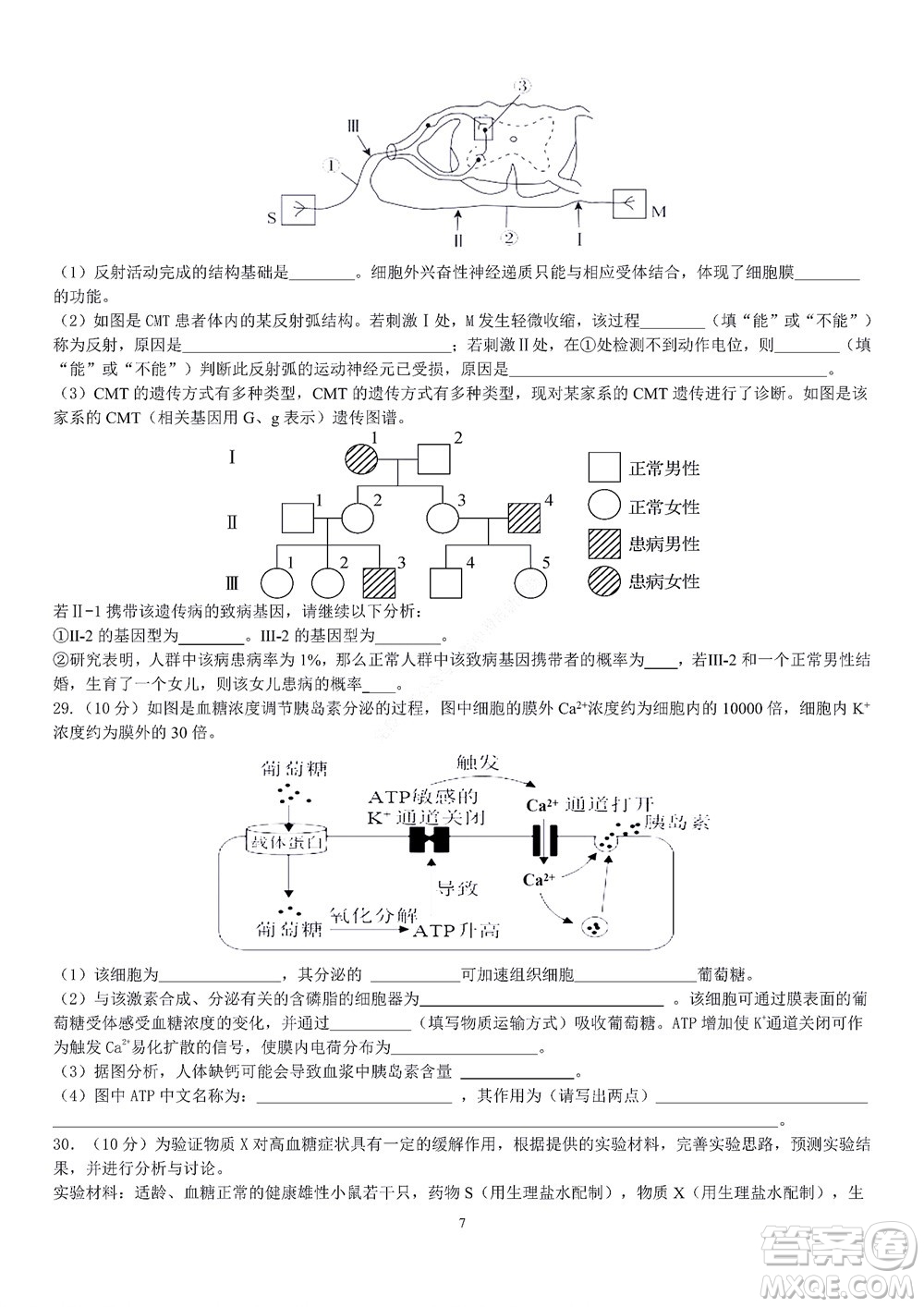 2022學年第一學期浙江省精誠聯(lián)盟10月聯(lián)考高二年級生物學科試題及答案