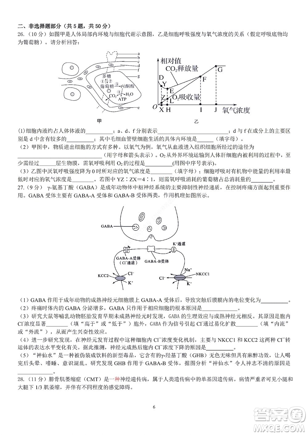 2022學年第一學期浙江省精誠聯(lián)盟10月聯(lián)考高二年級生物學科試題及答案