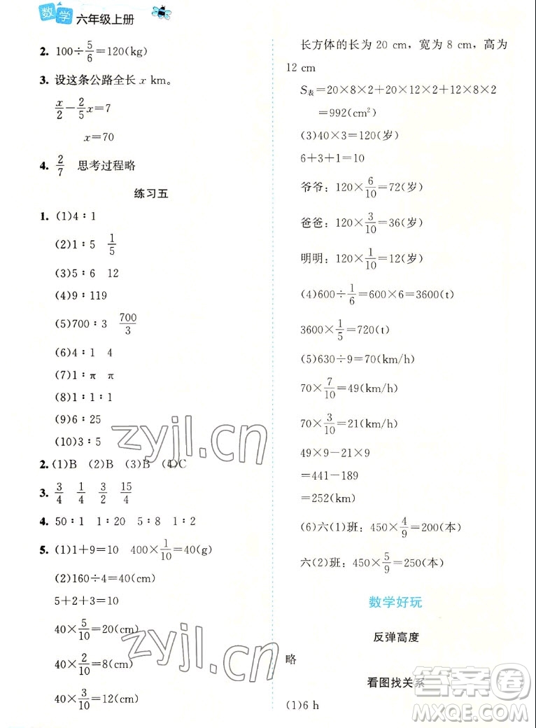 北京師范大學(xué)出版社2022秋課堂精練數(shù)學(xué)六年級上冊北師大版福建專版答案