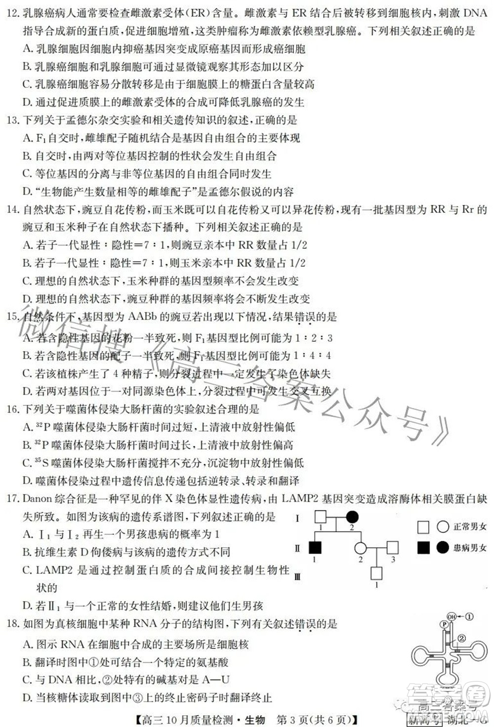 2023屆九師聯(lián)盟新高考高三10月質(zhì)量檢測(cè)鞏固卷生物試題及答案