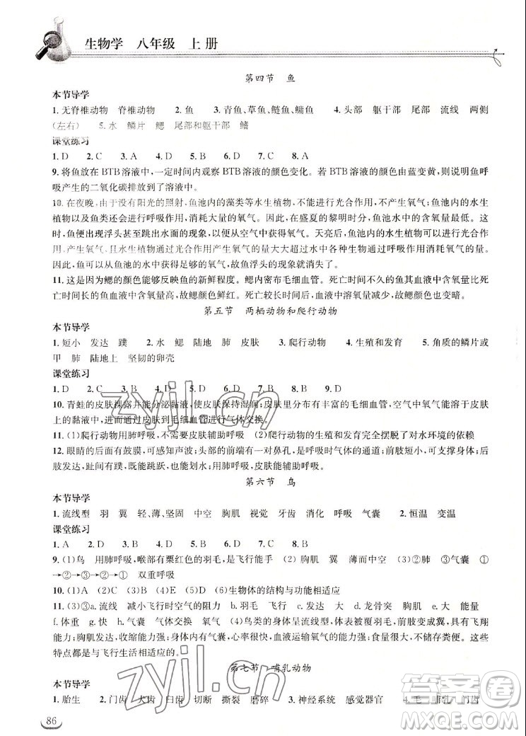 湖北教育出版社2022秋長江作業(yè)本同步練習(xí)冊生物學(xué)八年級上冊人教版答案