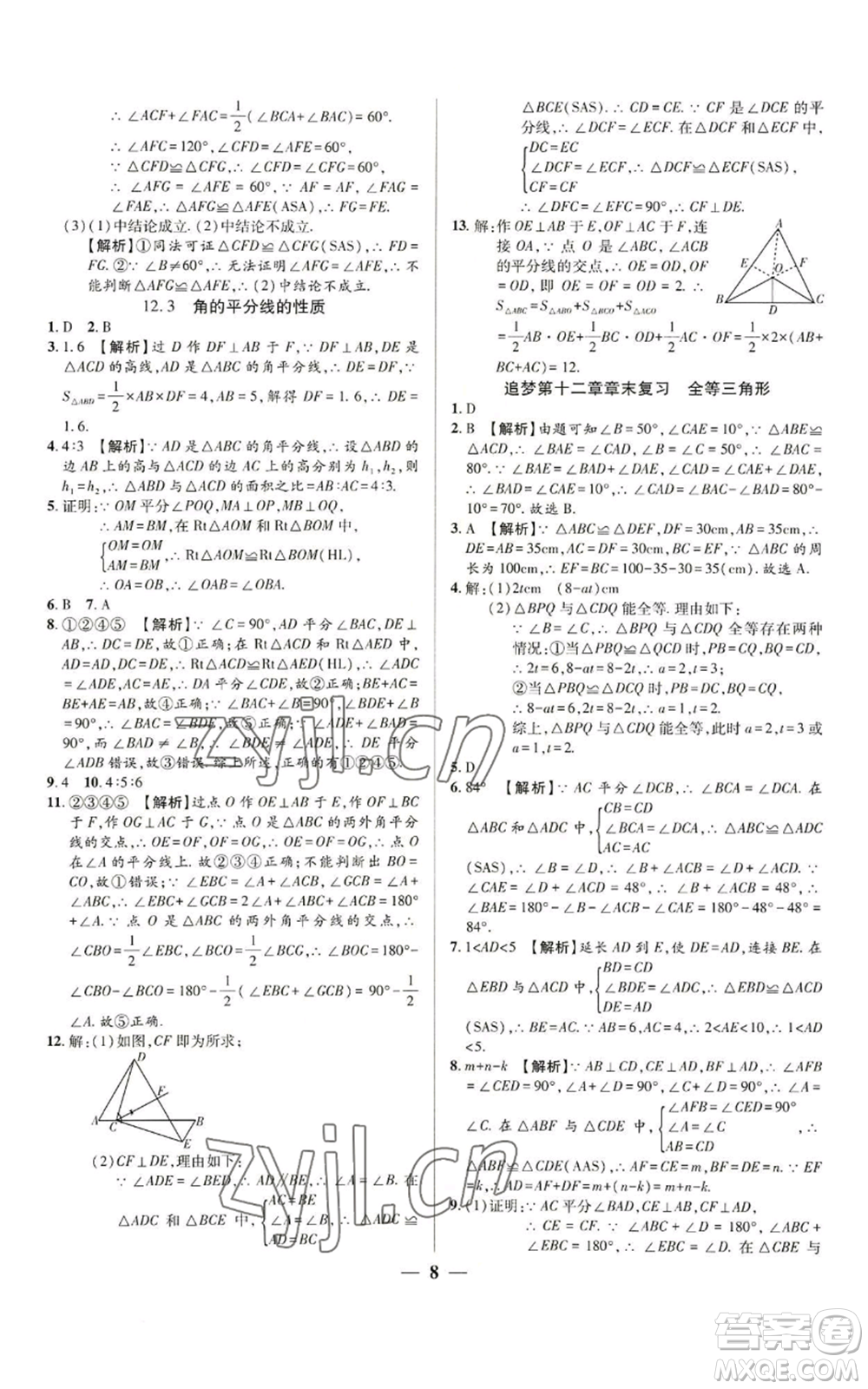 天津科學(xué)技術(shù)出版社2022追夢之旅大先生八年級上冊數(shù)學(xué)人教版河南專版參考答案