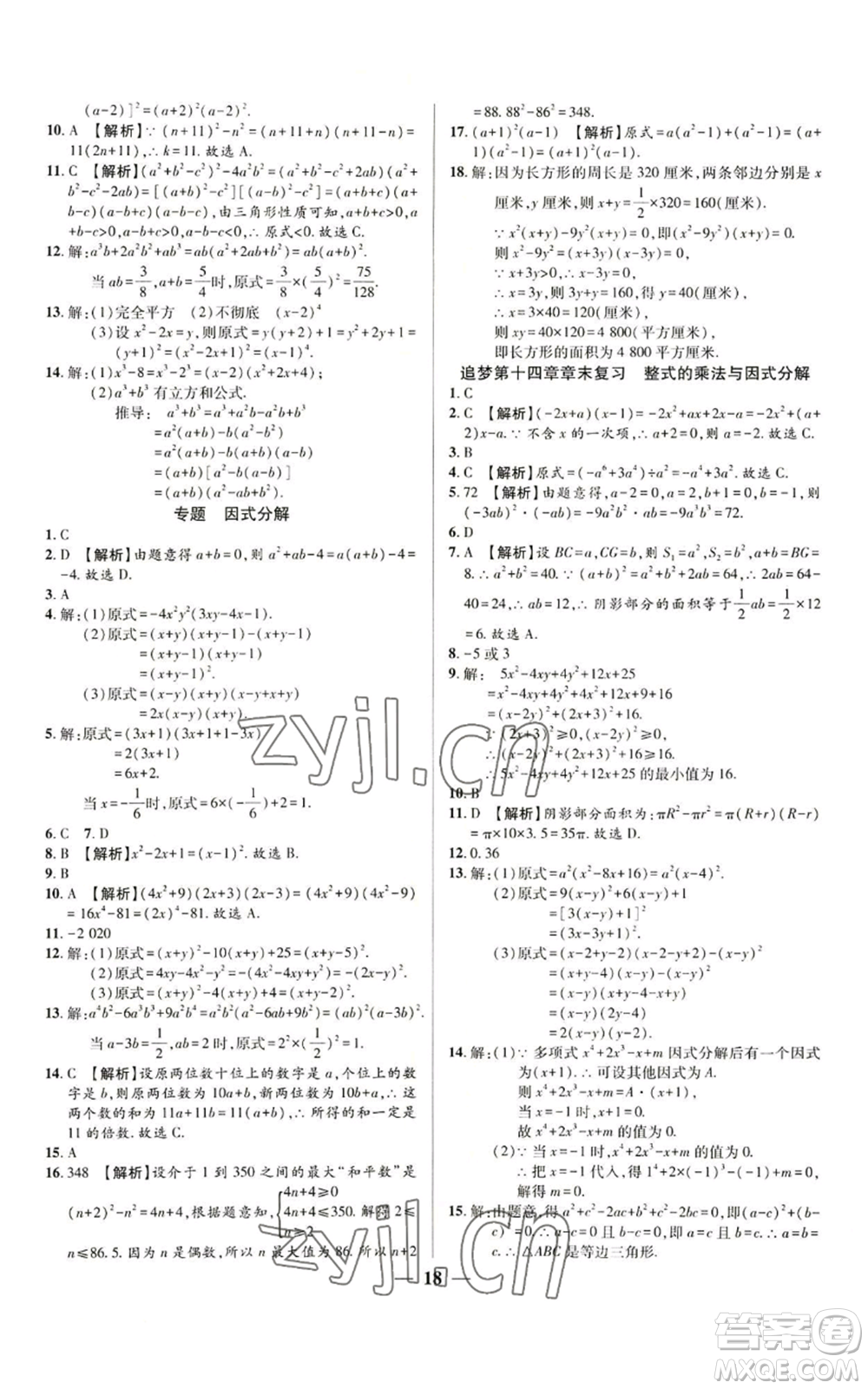 天津科學(xué)技術(shù)出版社2022追夢之旅大先生八年級上冊數(shù)學(xué)人教版河南專版參考答案