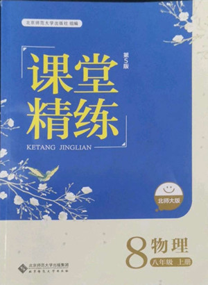 北京師范大學(xué)出版社2022秋課堂精練物理八年級(jí)上冊北師大版答案