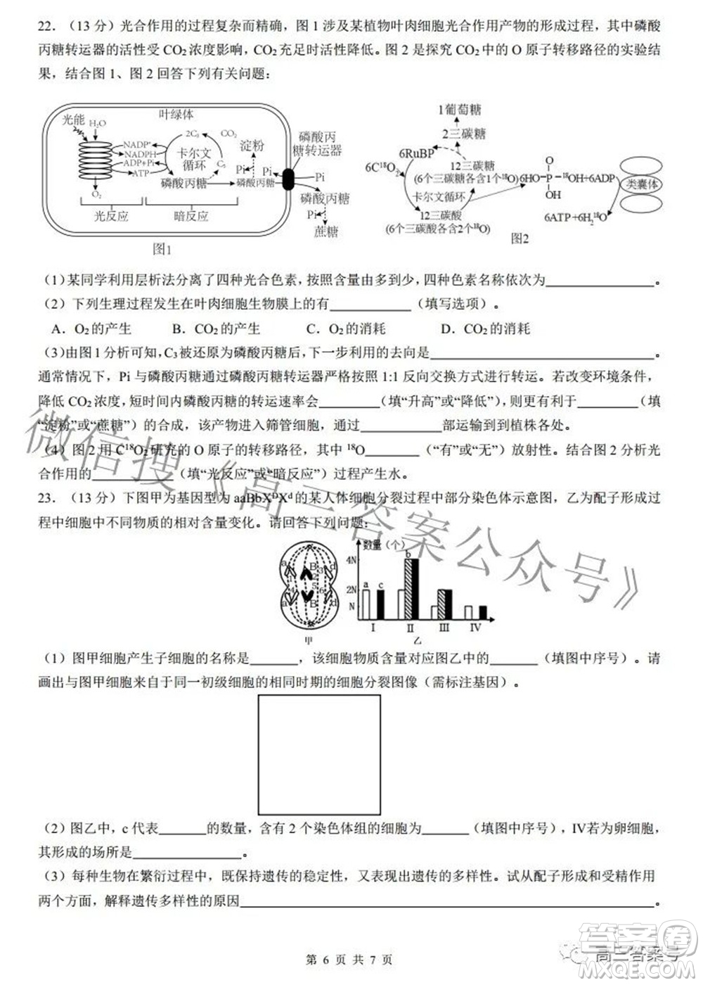 2022年重慶一中高2023屆10月月考生物試題及答案