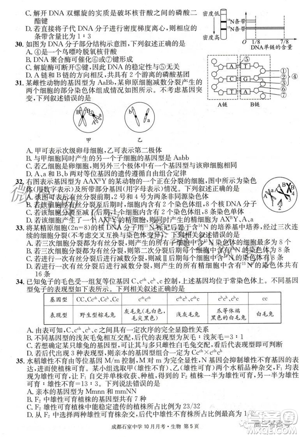 成都石室中學2022-2023學年度上期高2023屆10月月考生物試題及答案