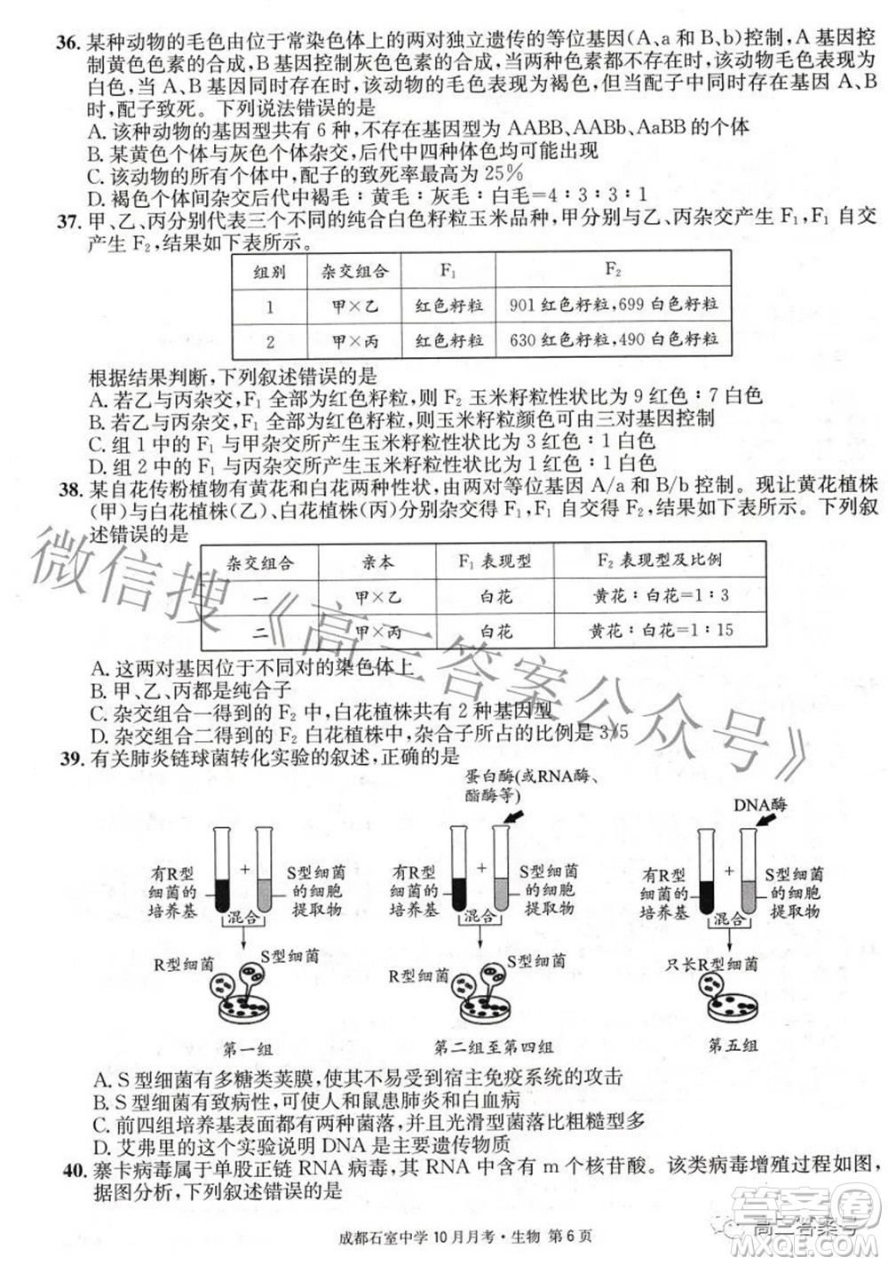 成都石室中學2022-2023學年度上期高2023屆10月月考生物試題及答案