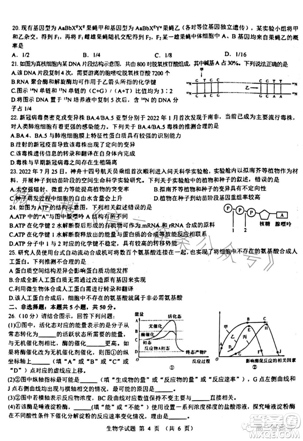 2023屆三重教育山西高三10月聯(lián)考生物學(xué)試卷及答案