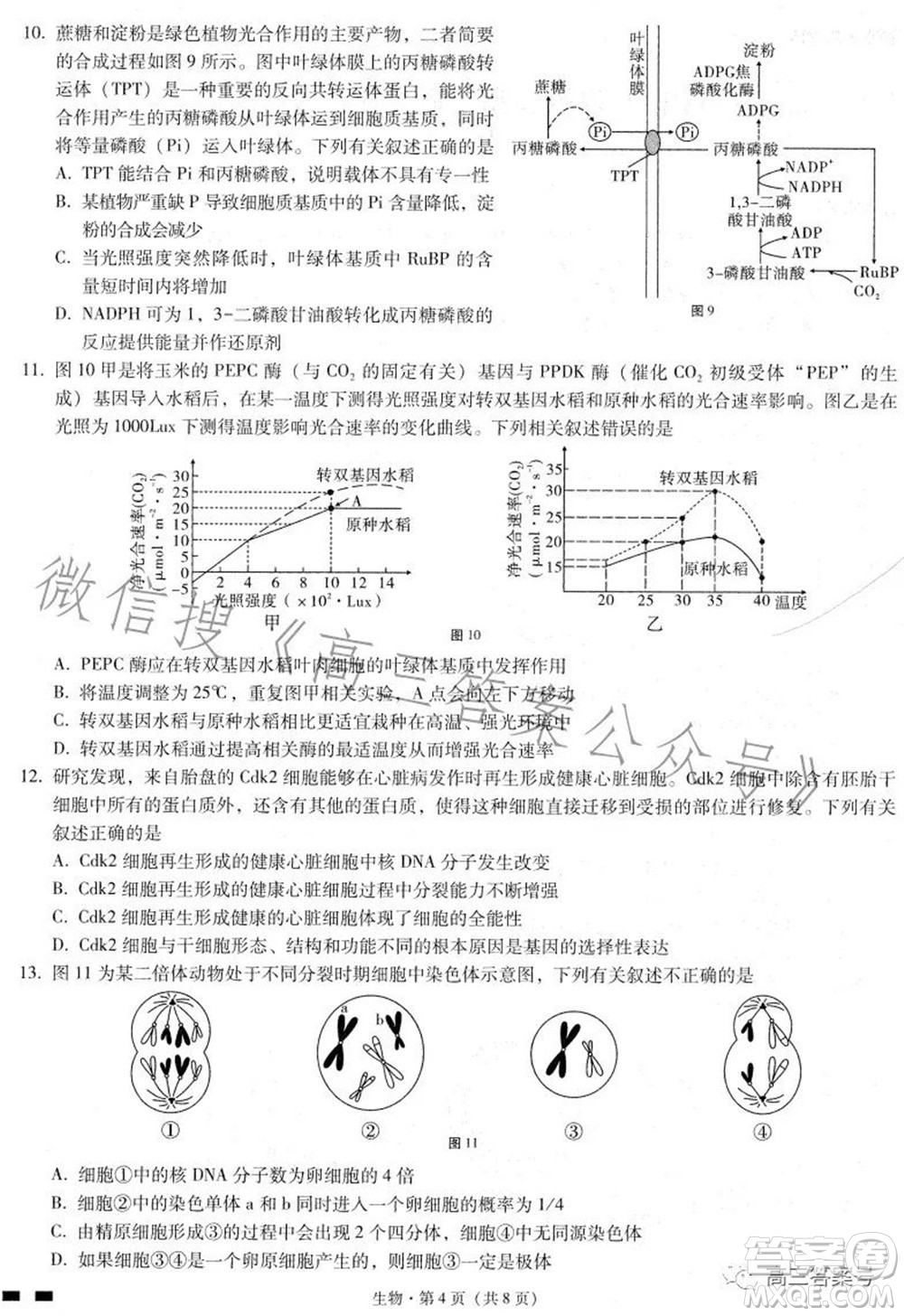 巴蜀中學(xué)2023屆高考適應(yīng)性月考卷三生物試題及答案