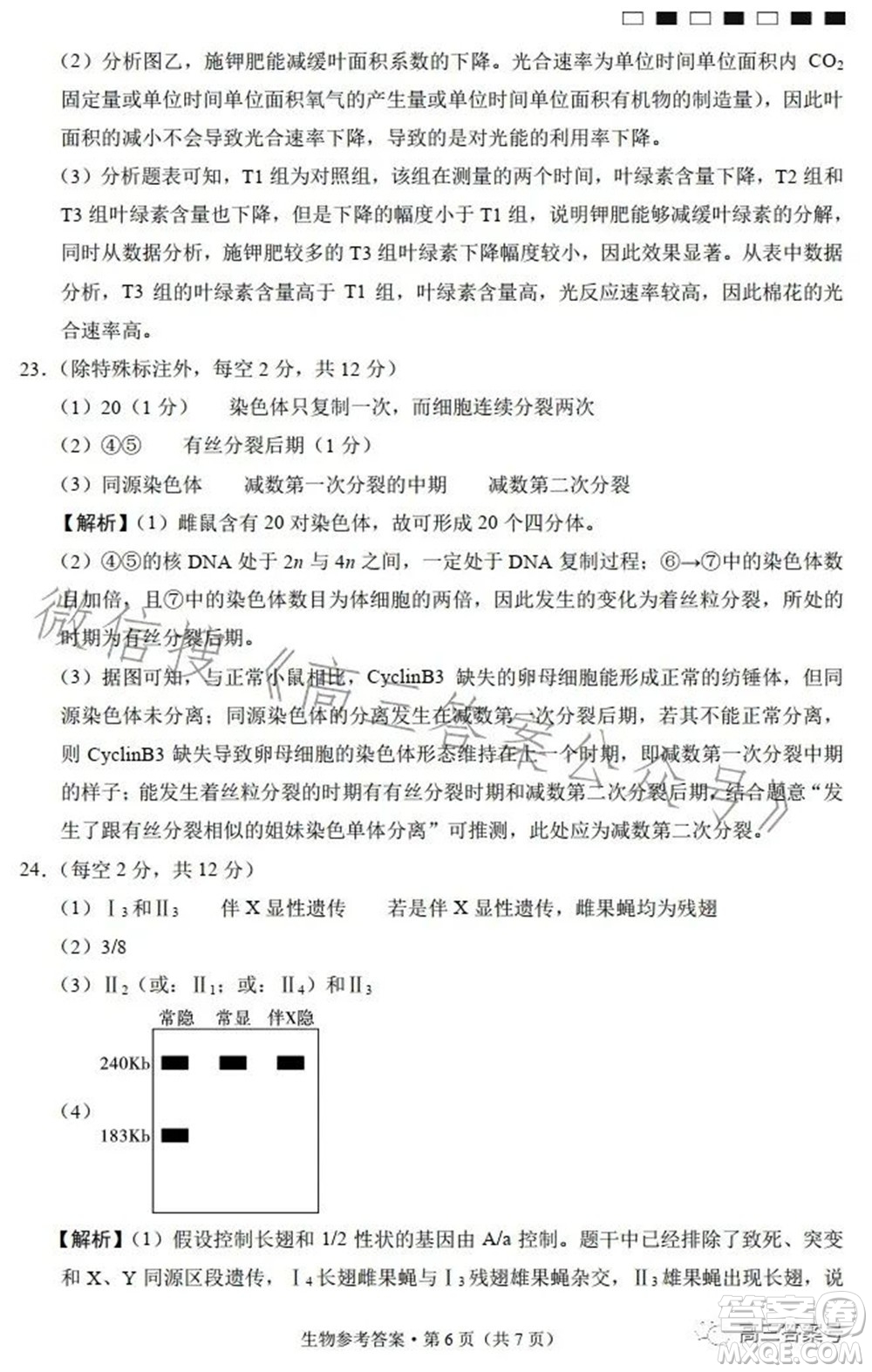 巴蜀中學(xué)2023屆高考適應(yīng)性月考卷三生物試題及答案