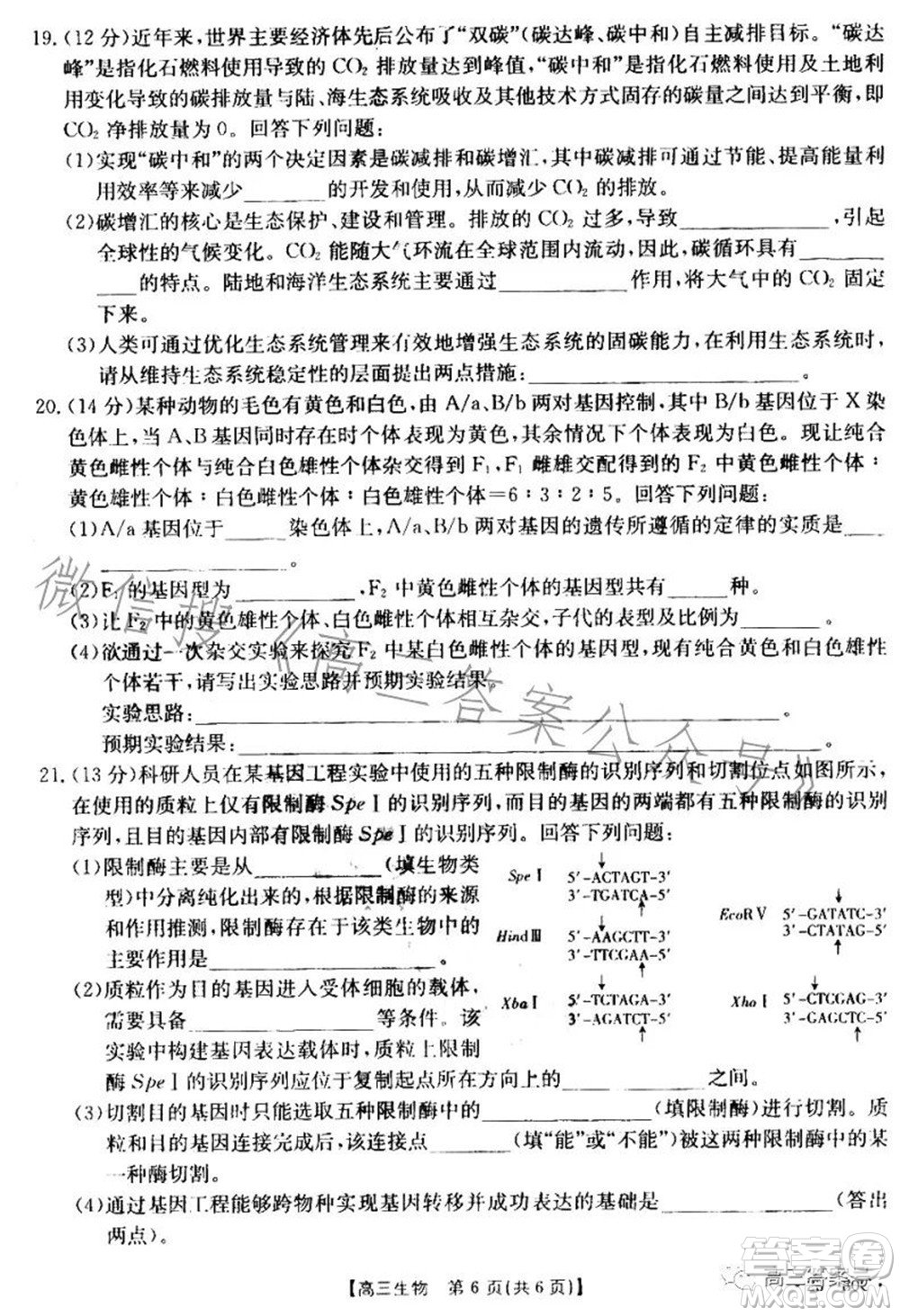 湛江市2023屆高中畢業(yè)班調(diào)研測試生物試題及答案