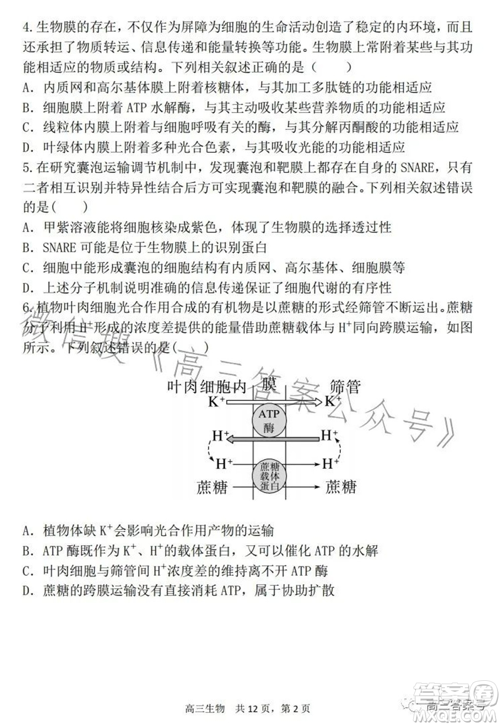 遼寧2022-2023六校協(xié)作體高三10月份聯(lián)合考試生物試題及答案