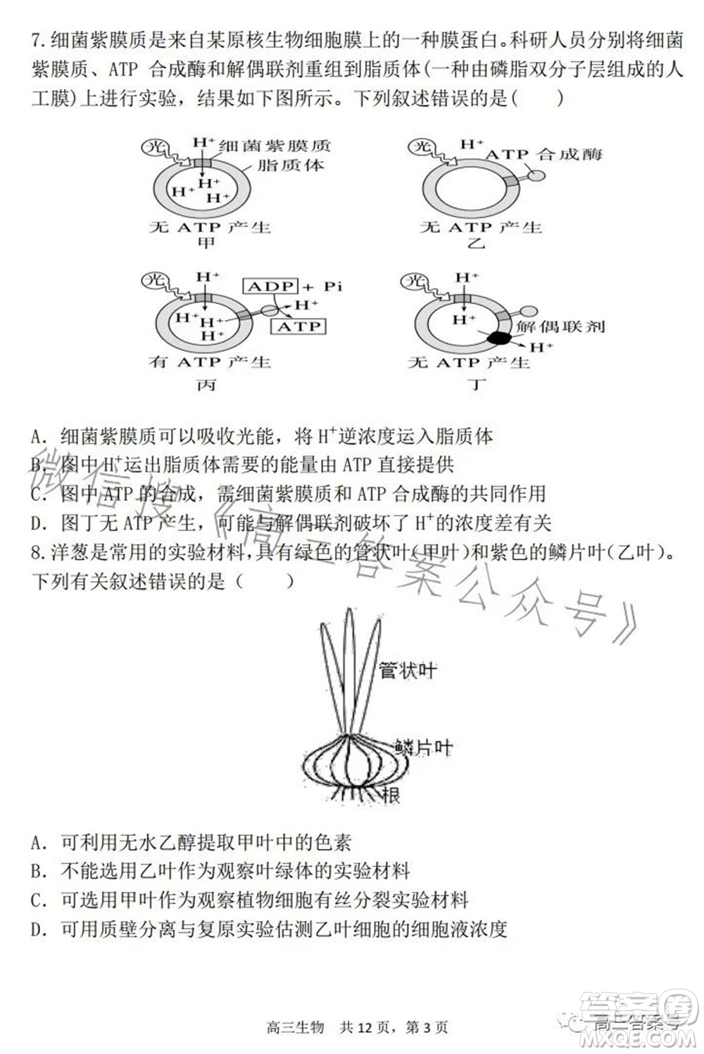 遼寧2022-2023六校協(xié)作體高三10月份聯(lián)合考試生物試題及答案