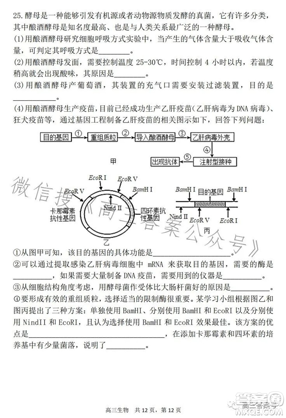 遼寧2022-2023六校協(xié)作體高三10月份聯(lián)合考試生物試題及答案