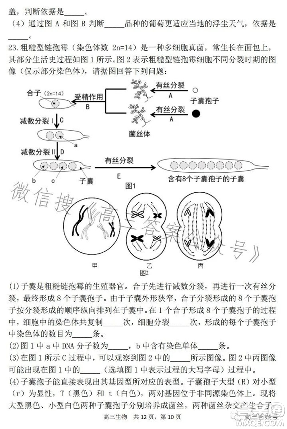 遼寧2022-2023六校協(xié)作體高三10月份聯(lián)合考試生物試題及答案