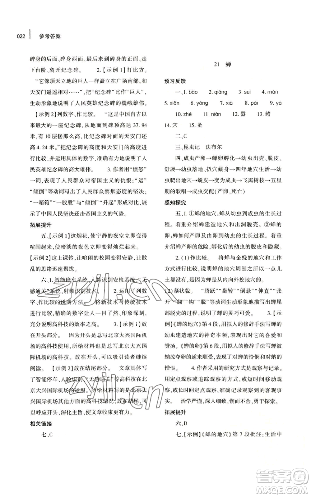 大象出版社2022基礎(chǔ)訓練八年級上冊語文人教版參考答案