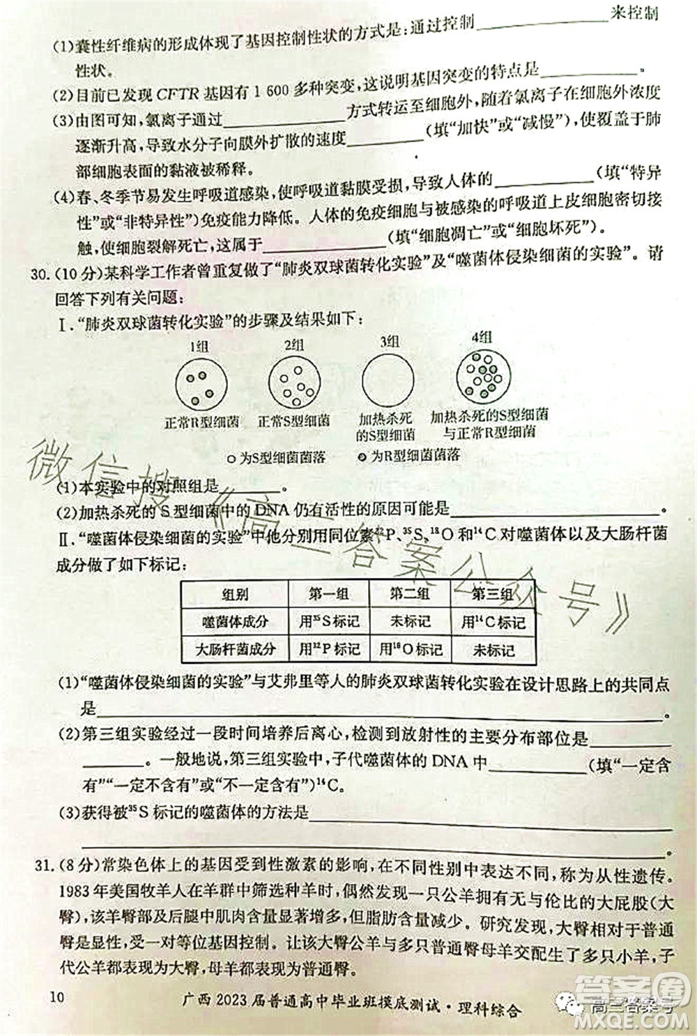 廣西2023屆普通高中畢業(yè)班摸底測試理科綜合試題及答案