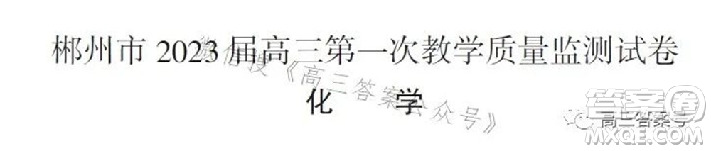 郴州市2023屆高三第一次教學(xué)質(zhì)量監(jiān)測試卷化學(xué)試題及答案