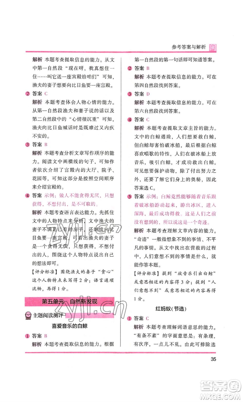 鷺江出版社2022木頭馬閱讀力測(cè)評(píng)三年級(jí)語(yǔ)文人教版A版福建專版參考答案